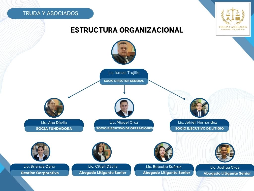 organigrama